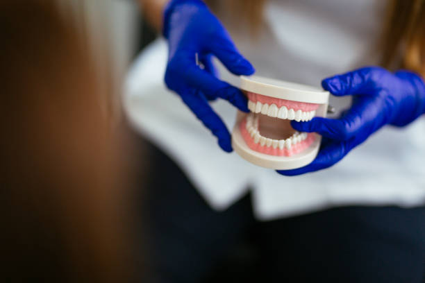 Best Pediatric Dentistry  in Camden, AL